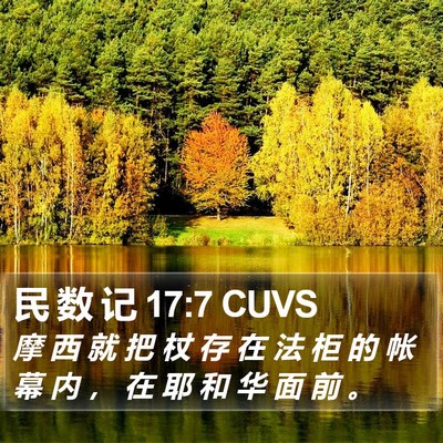 民 数 记 17:7 CUVS Bible Verse Image
