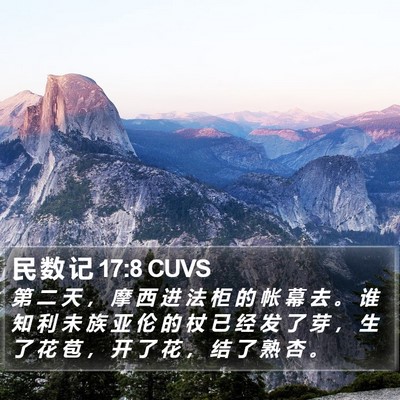 民 数 记 17:8 CUVS Bible Verse Image