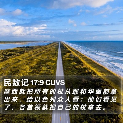 民 数 记 17:9 CUVS Bible Verse Image
