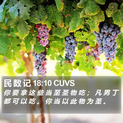 民 数 记 18:10 CUVS Bible Verse Image