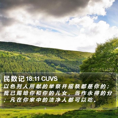 民 数 记 18:11 CUVS Bible Verse Image