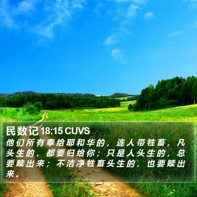 民 数 记 18:15 CUVS Bible Verse Image