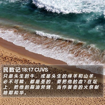 民 数 记 18:17 CUVS Bible Verse Image