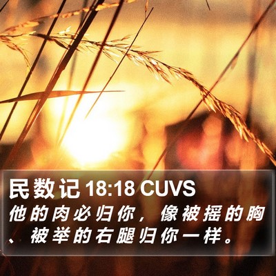 民 数 记 18:18 CUVS Bible Verse Image