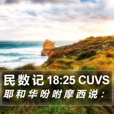 民 数 记 18:25 CUVS Bible Verse Image