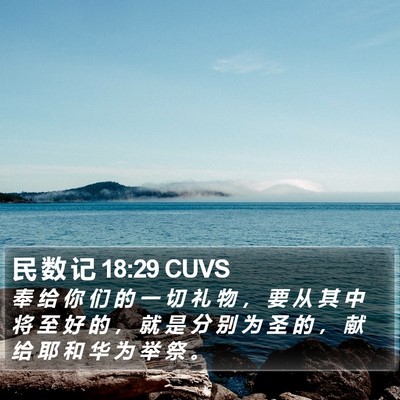 民 数 记 18:29 CUVS Bible Verse Image