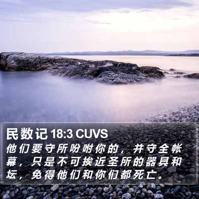 民 数 记 18:3 CUVS Bible Verse Image