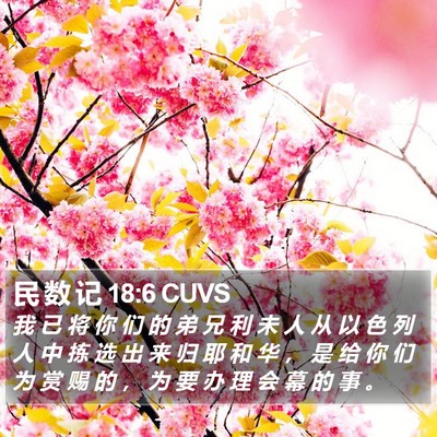 民 数 记 18:6 CUVS Bible Verse Image