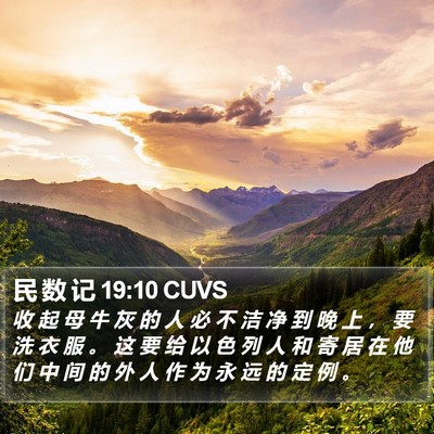 民 数 记 19:10 CUVS Bible Verse Image