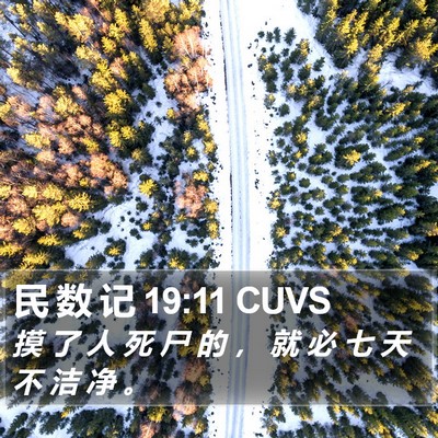 民 数 记 19:11 CUVS Bible Verse Image