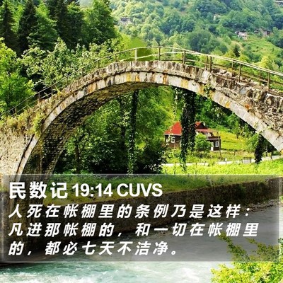 民 数 记 19:14 CUVS Bible Verse Image