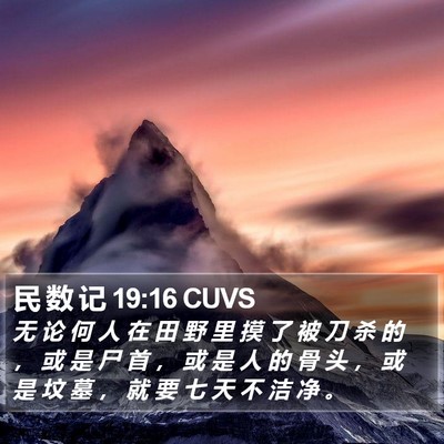 民 数 记 19:16 CUVS Bible Verse Image