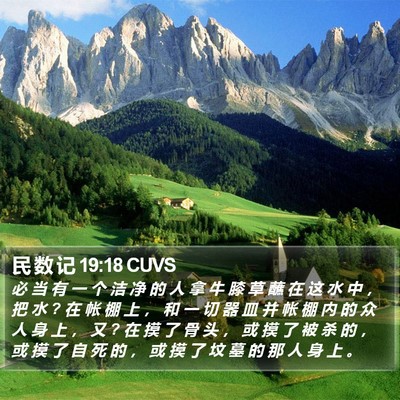 民 数 记 19:18 CUVS Bible Verse Image