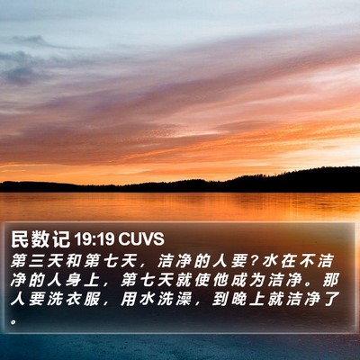 民 数 记 19:19 CUVS Bible Verse Image