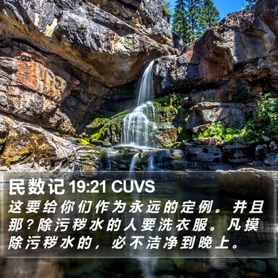 民 数 记 19:21 CUVS Bible Verse Image