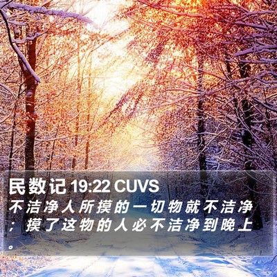 民 数 记 19:22 CUVS Bible Verse Image