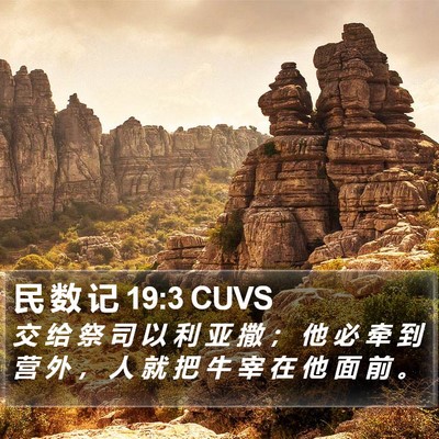民 数 记 19:3 CUVS Bible Verse Image