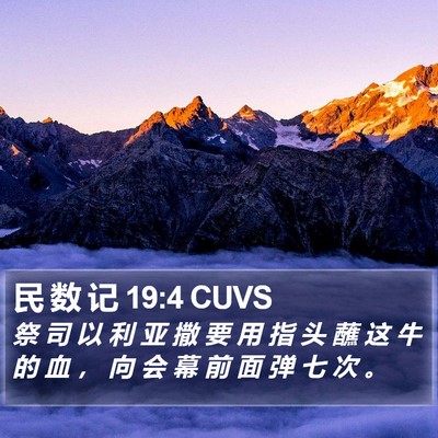 民 数 记 19:4 CUVS Bible Verse Image