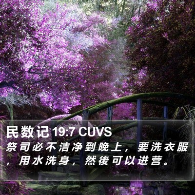 民 数 记 19:7 CUVS Bible Verse Image