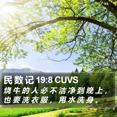 民 数 记 19:8 CUVS Bible Verse Image