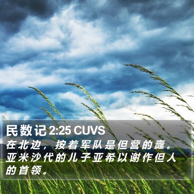 民 数 记 2:25 CUVS Bible Verse Image