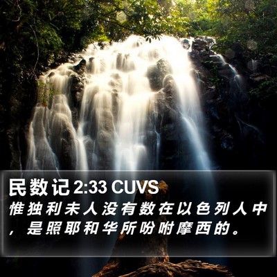 民 数 记 2:33 CUVS Bible Verse Image