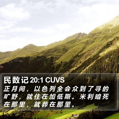 民 数 记 20:1 CUVS Bible Verse Image