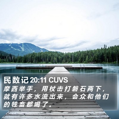 民 数 记 20:11 CUVS Bible Verse Image
