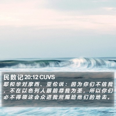 民 数 记 20:12 CUVS Bible Verse Image