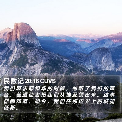 民 数 记 20:16 CUVS Bible Verse Image