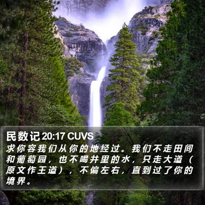 民 数 记 20:17 CUVS Bible Verse Image