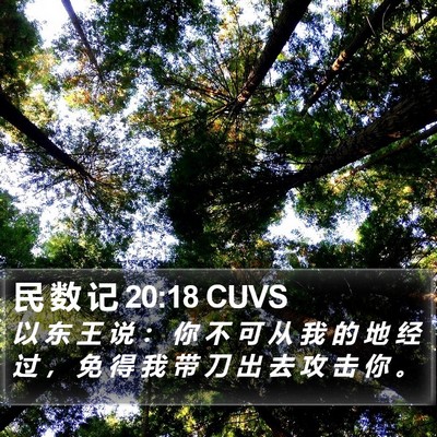 民 数 记 20:18 CUVS Bible Verse Image