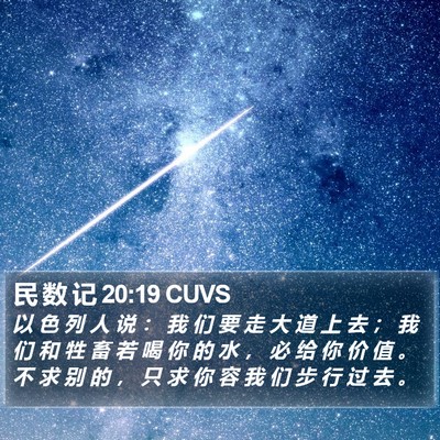 民 数 记 20:19 CUVS Bible Verse Image