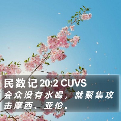 民 数 记 20:2 CUVS Bible Verse Image