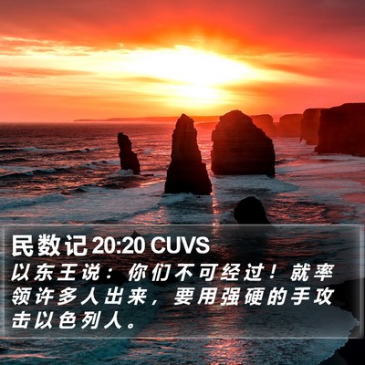 民 数 记 20:20 CUVS Bible Verse Image