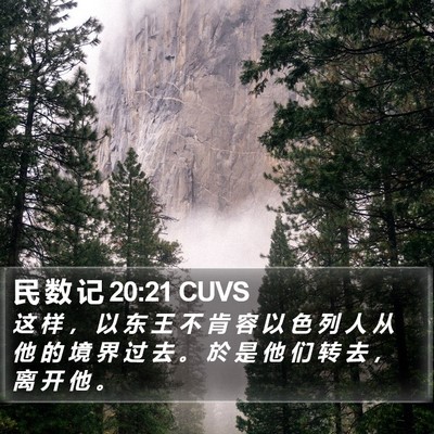 民 数 记 20:21 CUVS Bible Verse Image