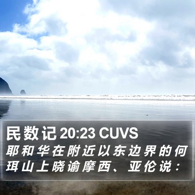 民 数 记 20:23 CUVS Bible Verse Image