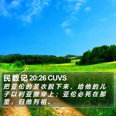 民 数 记 20:26 CUVS Bible Verse Image