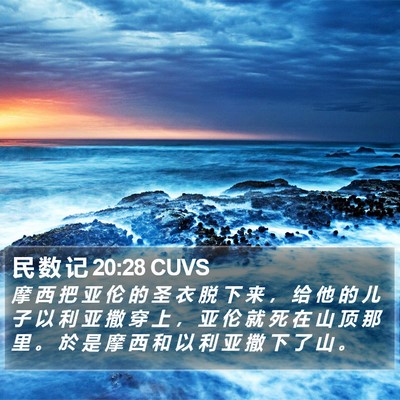 民 数 记 20:28 CUVS Bible Verse Image