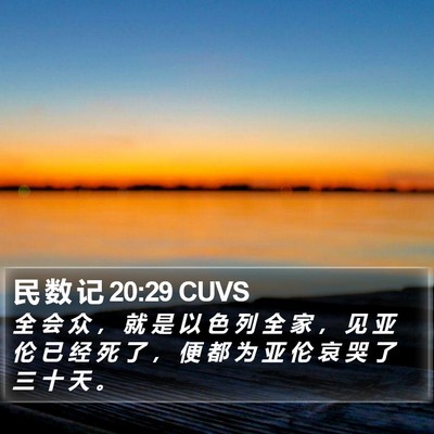 民 数 记 20:29 CUVS Bible Verse Image