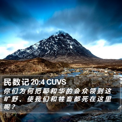 民 数 记 20:4 CUVS Bible Verse Image