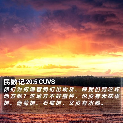 民 数 记 20:5 CUVS Bible Verse Image