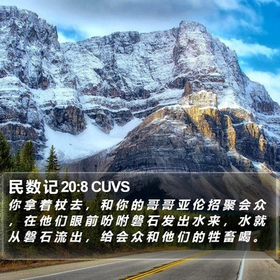 民 数 记 20:8 CUVS Bible Verse Image