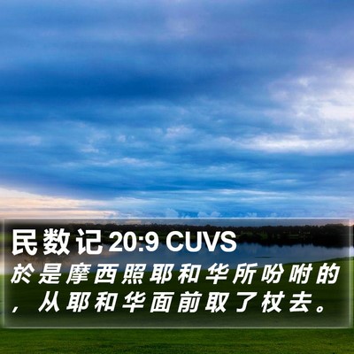 民 数 记 20:9 CUVS Bible Verse Image