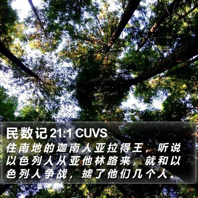 民 数 记 21:1 CUVS Bible Verse Image