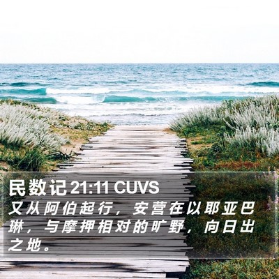 民 数 记 21:11 CUVS Bible Verse Image