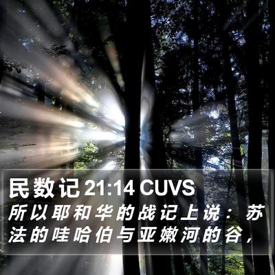 民 数 记 21:14 CUVS Bible Verse Image