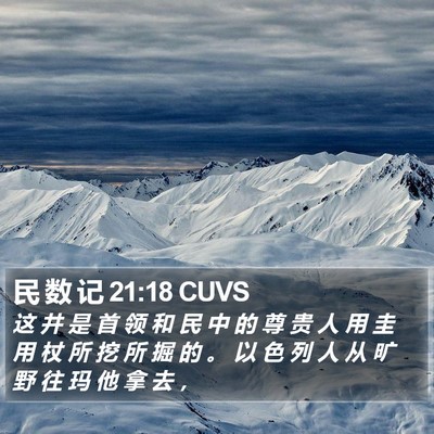 民 数 记 21:18 CUVS Bible Verse Image