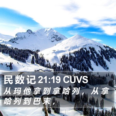民 数 记 21:19 CUVS Bible Verse Image