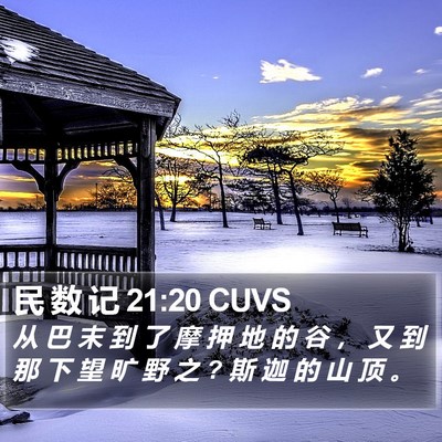民 数 记 21:20 CUVS Bible Verse Image